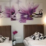 Toni Design Split