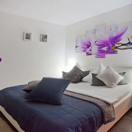 トニ デザイン スプリト