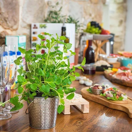 トニ デザイン 4*