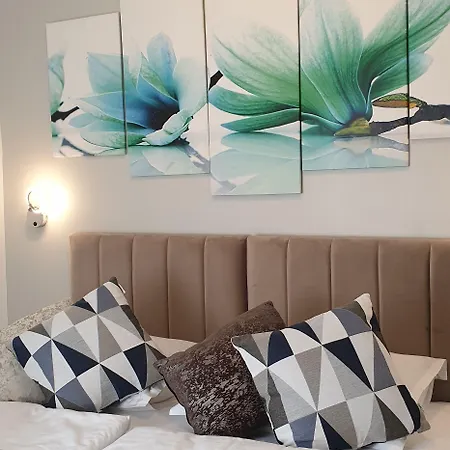 トニ デザイン スプリト