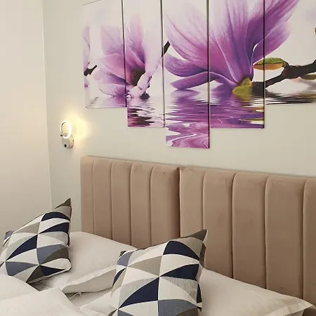 トニ デザイン ゲストハウス 4*